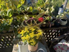 ������� ���� | Imot.bg � ����� ������ 3