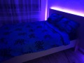 Продава КЪЩА, с. Ново Оряхово, област Варна, снимка 9