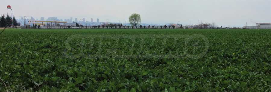 Продава ПАРЦЕЛ | Imot.bg — изображение 6