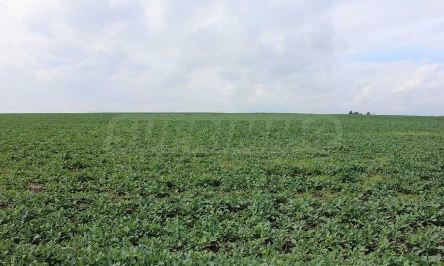 Продава ПАРЦЕЛ | Imot.bg — изображение 8