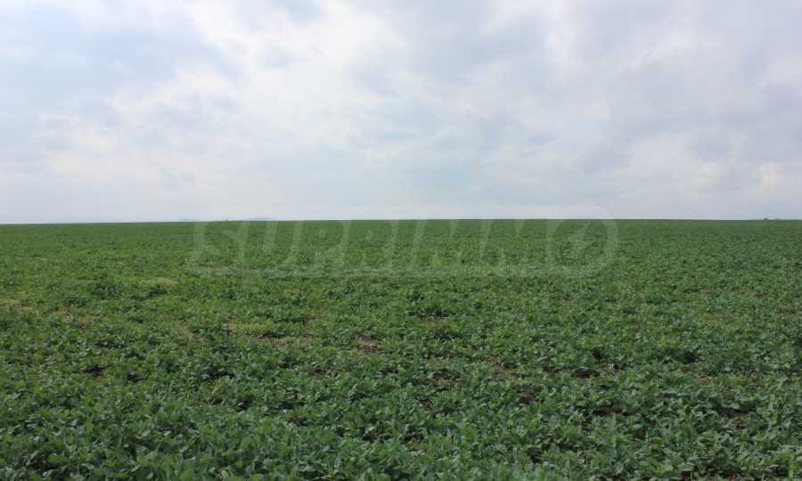 Продава ПАРЦЕЛ | Imot.bg — изображение 7