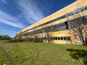 ������ ������� ����. ���������