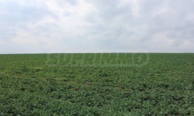 ������� ������ | Imot.bg � ����� ������ 10