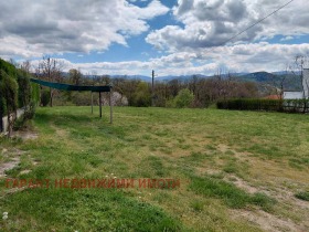 ����� ������� ������,���� �������, ������