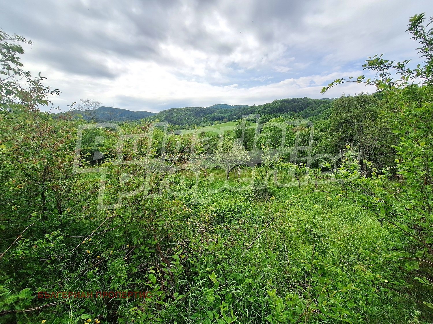 ������� ���� | Imot.bg � ����������� 11