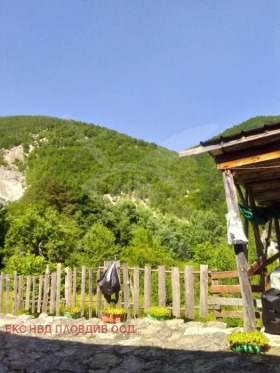 ����� ������� ����,�. ���� ����, ������ �������