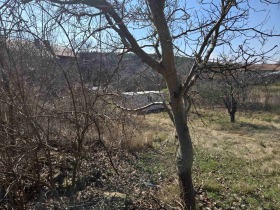 ������� ������ | Imot.bg � ����� ������ 6