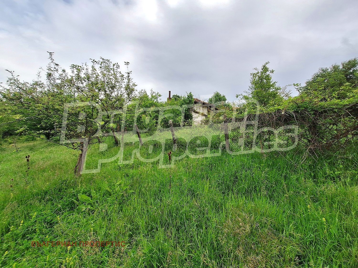Продава КЪЩА, с. Бадевци, област Велико Търново, снимка 6 - Къщи - 54751127