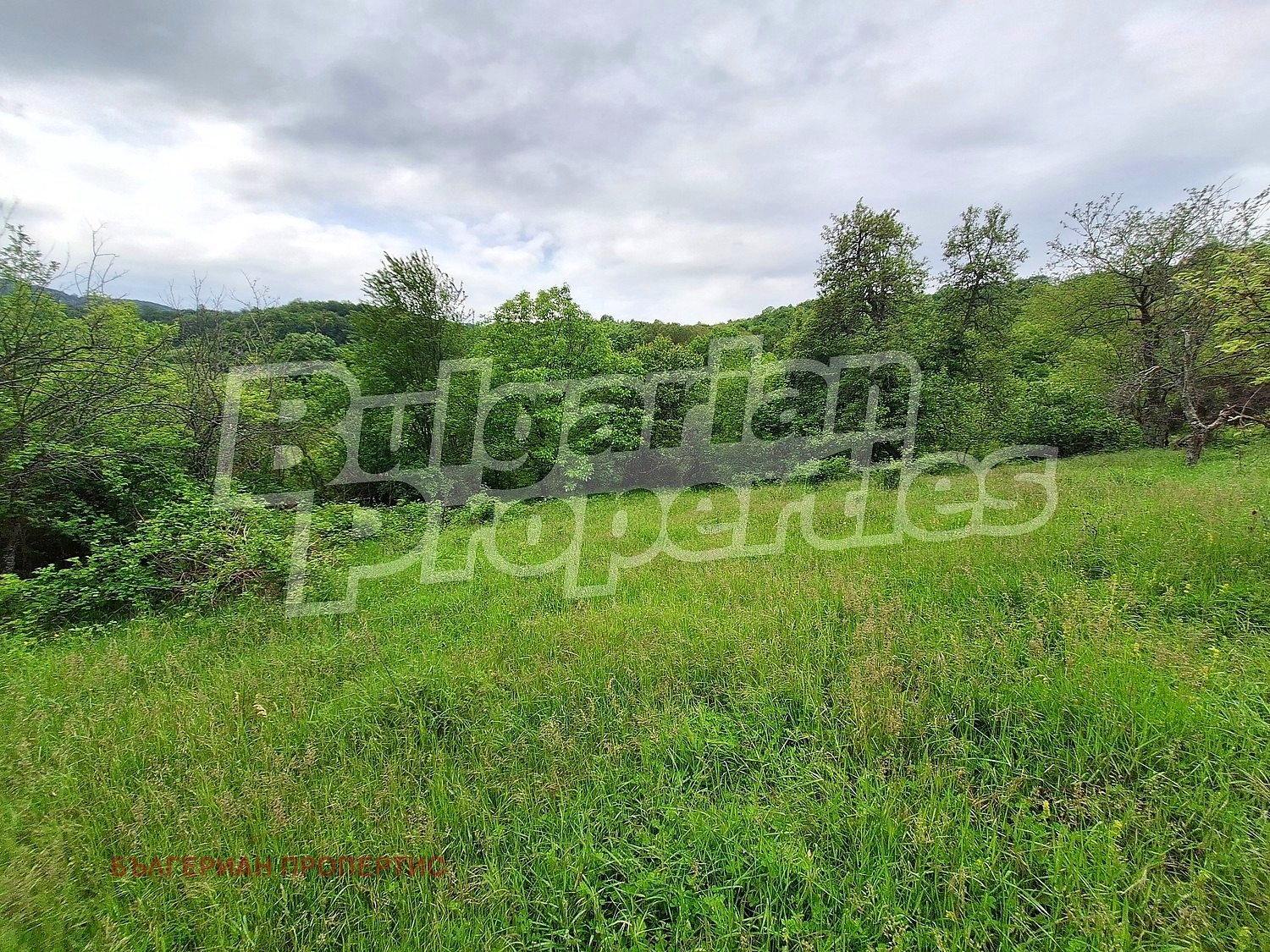 Продава КЪЩА, с. Бадевци, област Велико Търново, снимка 7 - Къщи - 54751127