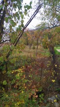 Продава ПАРЦЕЛ, област София, гр. Правец • 55000 € • 64213398 — Holmes.bg