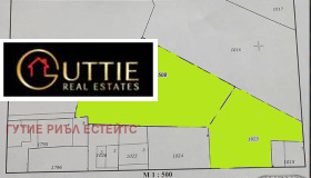 ����� ������� ������,���� �����, ����������