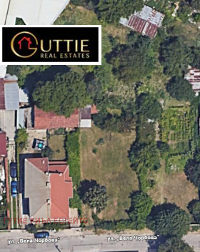 ����� ������� ������,���� �����, ����������