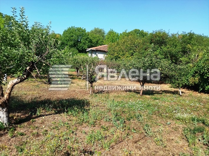 Till salu  Hus region Stara Zagora , Jazdatj , 65 kvm | 10215695 - bild [12]