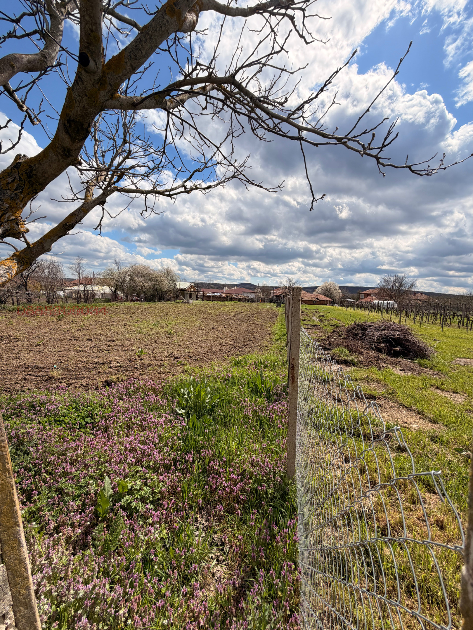 Продава ПАРЦЕЛ, с. Кривини, област Варна, снимка 5 - Парцели - 54319343