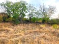 Продава ПАРЦЕЛ, с. Пресяка, област Ловеч, снимка 4