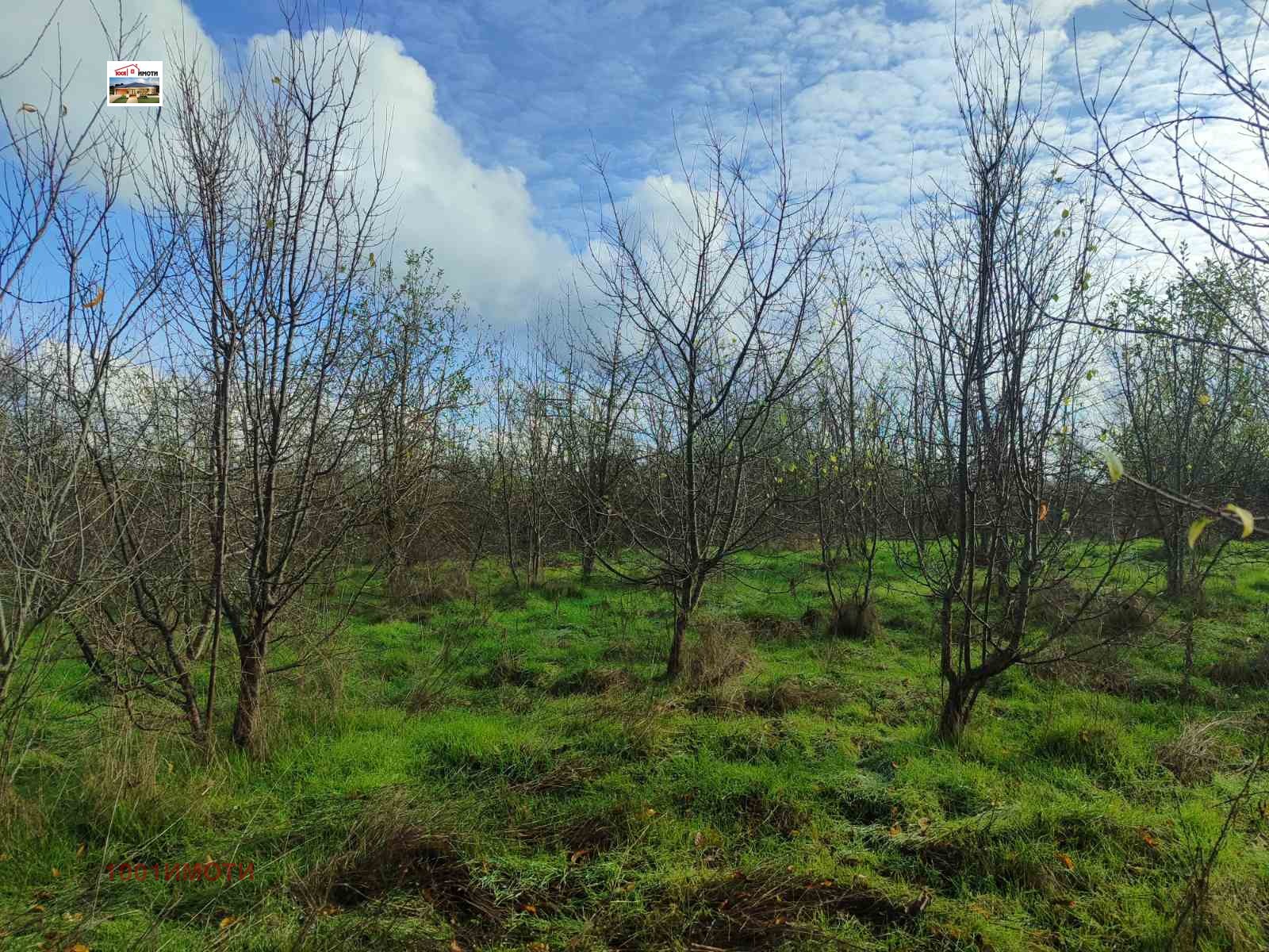 ������� ���� | Imot.bg � ����������� 11