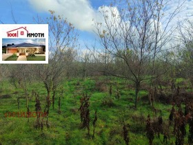 ������� ���� | Imot.bg � ����� ������ 12