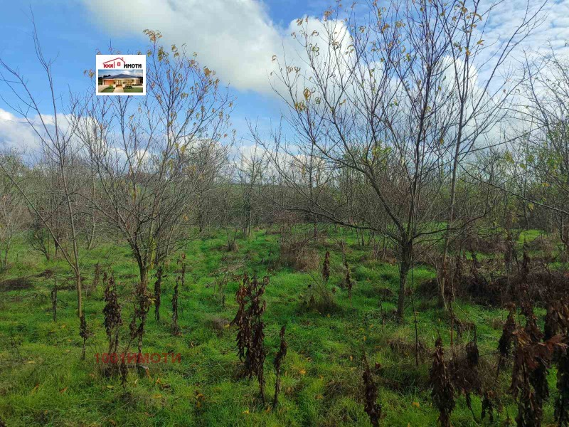 Продава КЪЩА, с. Земенци, област Добрич, снимка 11 - Къщи - 49348310