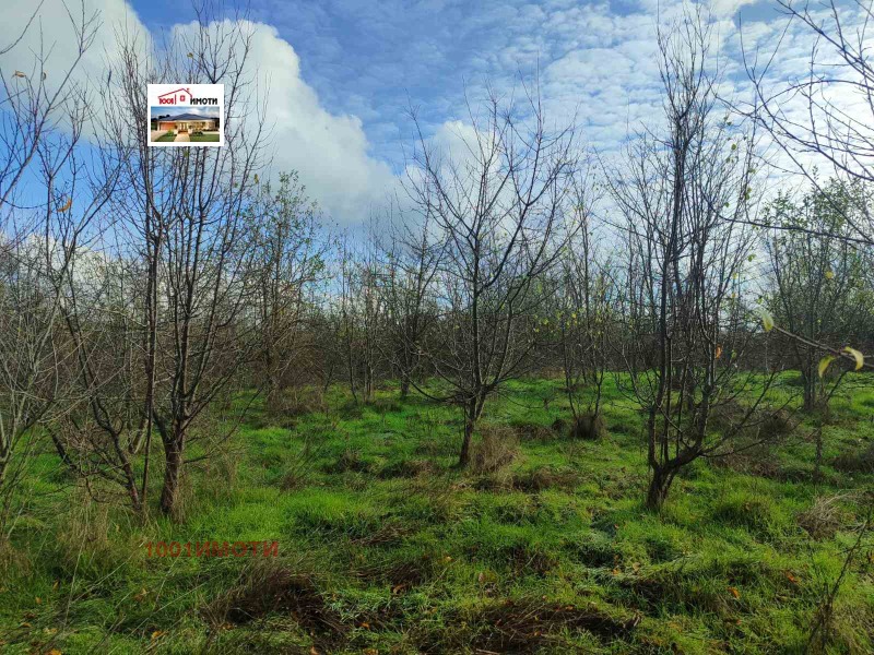 Продава КЪЩА, с. Земенци, област Добрич, снимка 10 - Къщи - 49348310