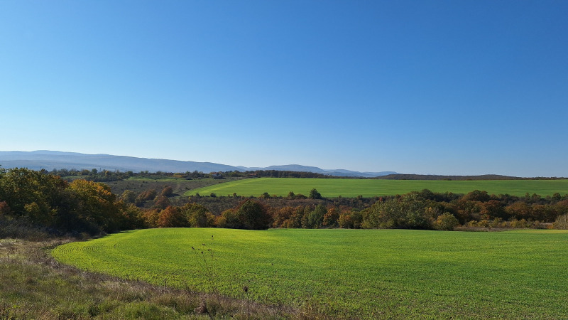 Til salg  Hus region Varna , Dolni chiflik , 300 kvm | 10856630 - billede [14]