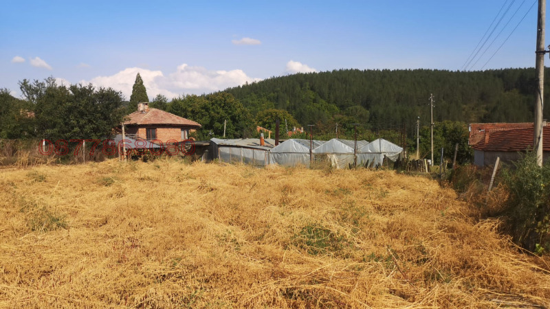 Zu verkaufen  Handlung region Kjustendil , Liljatsch , 478 qm | 79908425 - Bild [2]