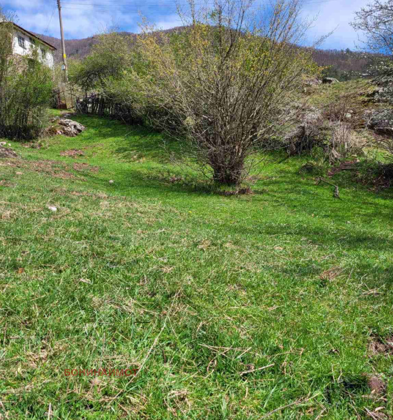 In vendita  Complotto regione Plovdiv , Belitsa , 1150 mq | 86212281