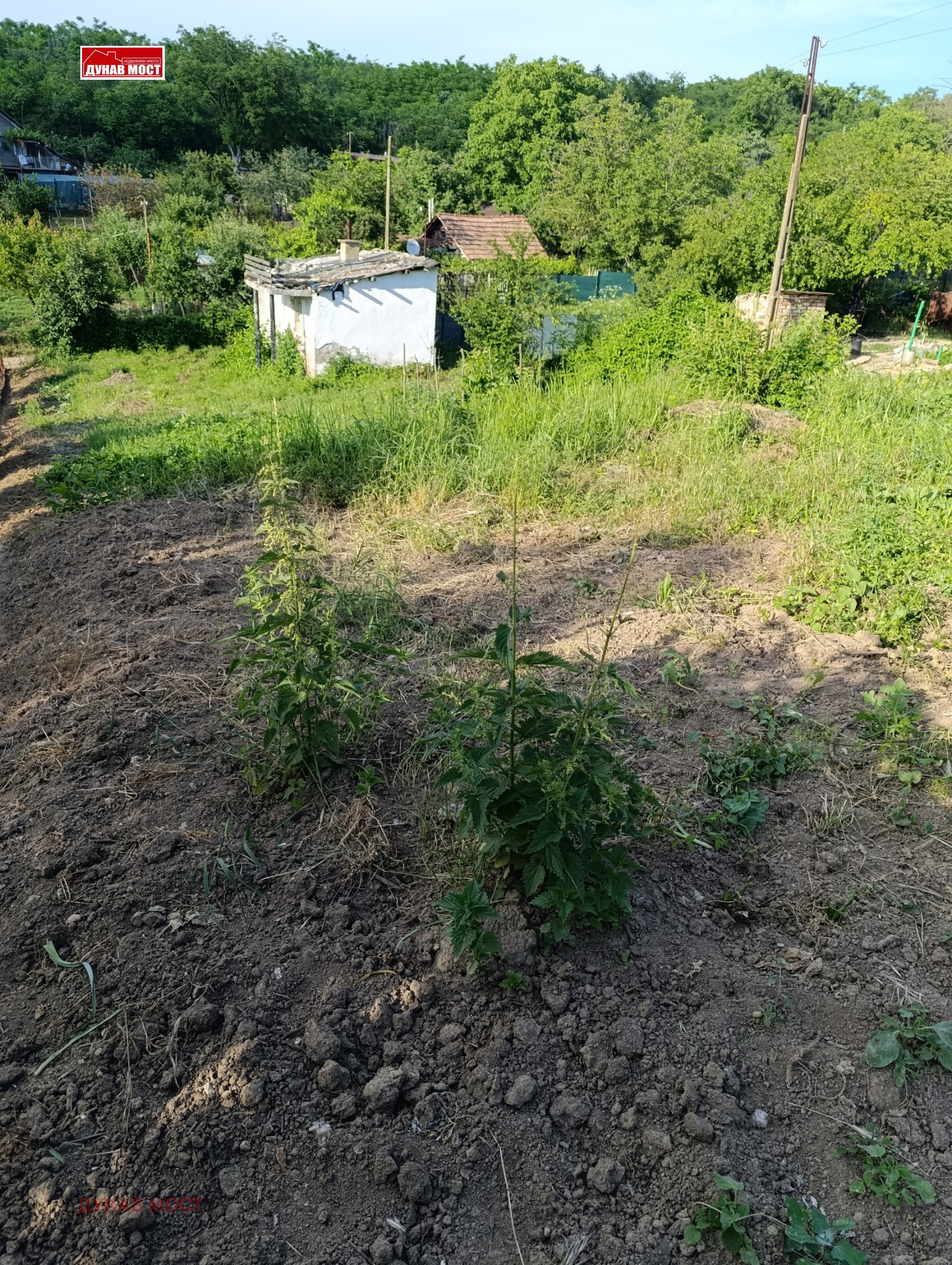 Продава ВИЛА, гр. Русе, Чародейка - Юг, снимка 6 - Вили - 54889409