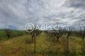 Продава  Парцел област Пловдив , с. Труд , 9951 кв.м | 70649905 - изображение [3]