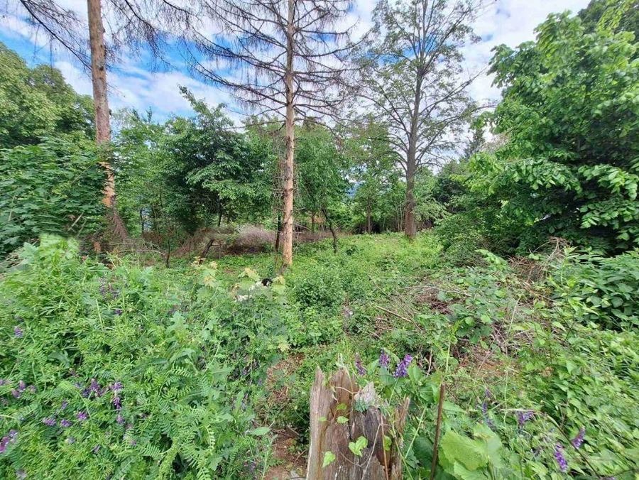 Продава ПАРЦЕЛ | Imot.bg — изображение 3