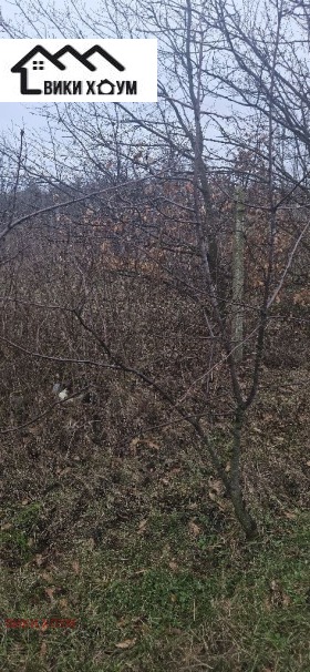 ������� ������ | Imot.bg � ����� ������ 4