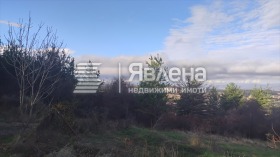 ����� ������� ������,���� �����, ��. �����