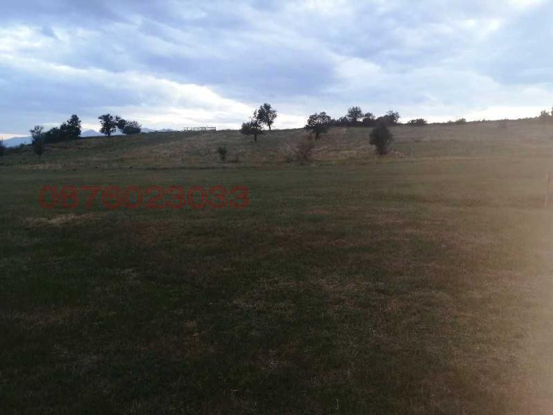 Продава ПАРЦЕЛ, гр. Белица, област Благоевград, снимка 5 - Парцели - 52857923