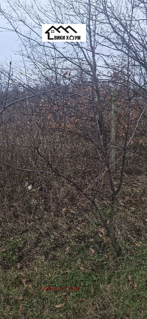 Продава ПАРЦЕЛ, гр. Варна, м-т Боровец - север, снимка 3 - Парцели - 53504183