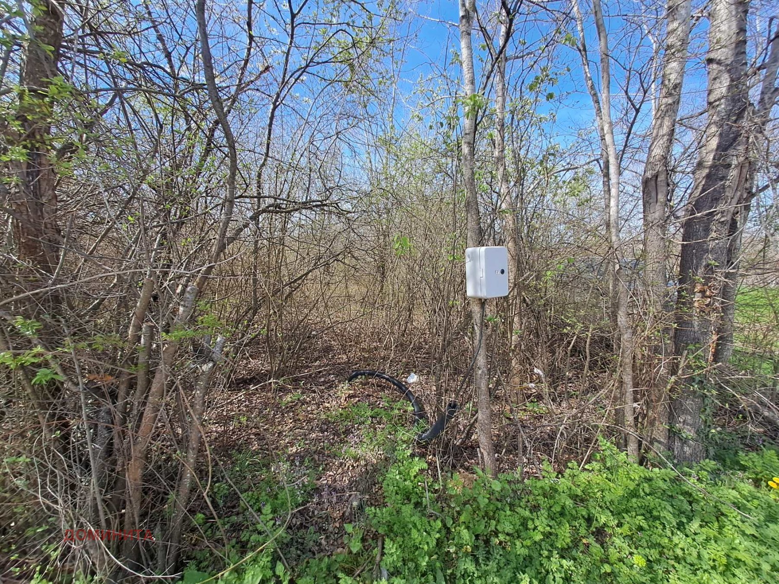 Продава ПАРЦЕЛ | Imot.bg — изображение 5