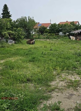 ����� ������� ������,�. ���������, ������ �����