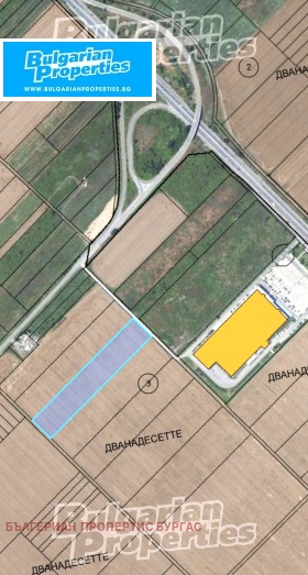 ����� ������� ������,���� ������, ������