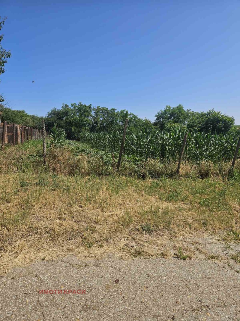 Продава  Парцел област Русе , с. Просена , 2500 кв.м | 46281108 - изображение [2]