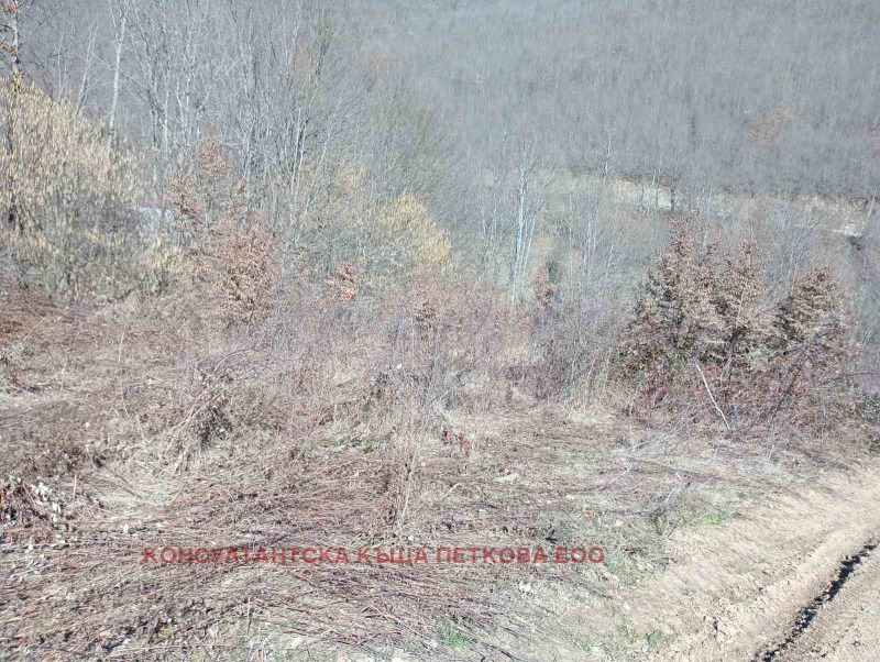 For Sale  Land region Lovech , Teteven , 8 dka | 16390068 - image [10]