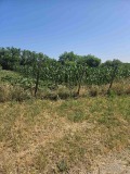 Продава ПАРЦЕЛ, област Русе, с. Просена • 28000 лв. • 55482546 — Holmes.bg