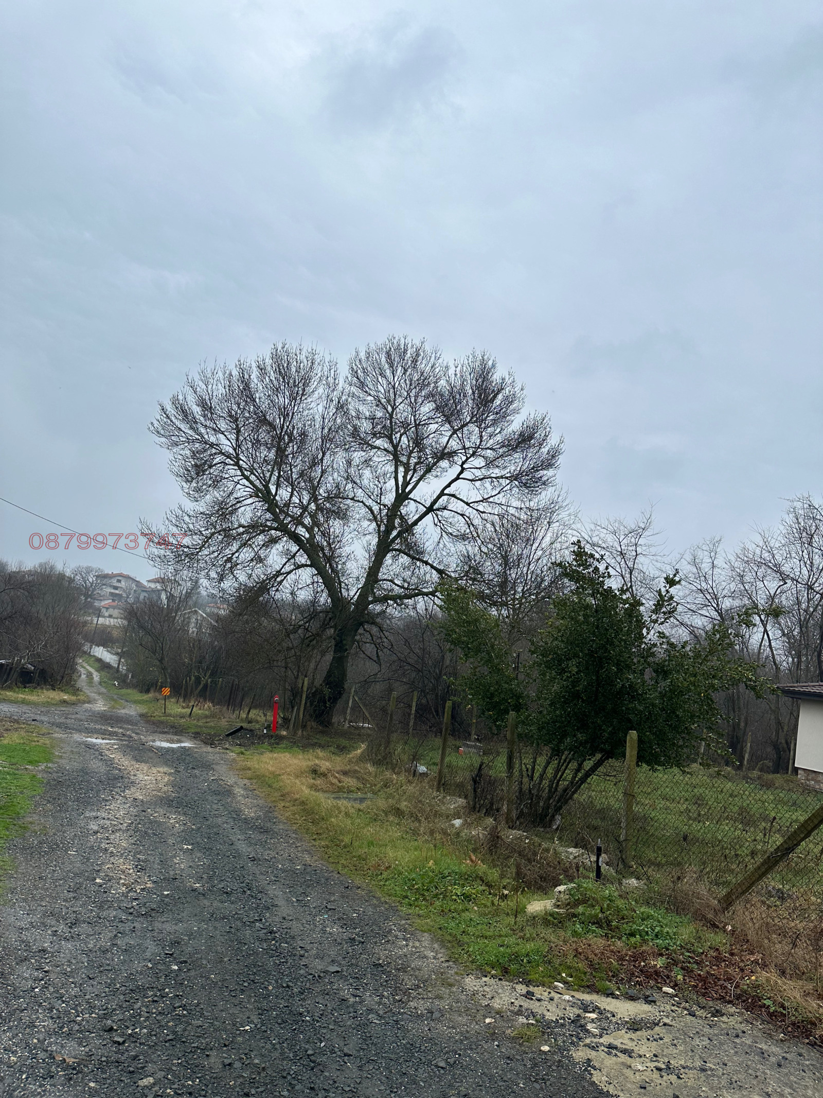 Продава ПАРЦЕЛ | Imot.bg — изображение 6