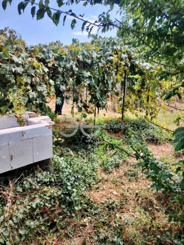 Продава КЪЩА, с. Стожер, област Добрич, снимка 7 - Къщи - 55815394