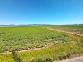 Продава  1-стаен област Бургас , к.к. Слънчев бряг , 26 кв.м | 88442642 - изображение [8]