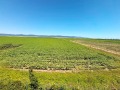 Продава  1-стаен област Бургас , к.к. Слънчев бряг , 26 кв.м | 88442642 - изображение [7]