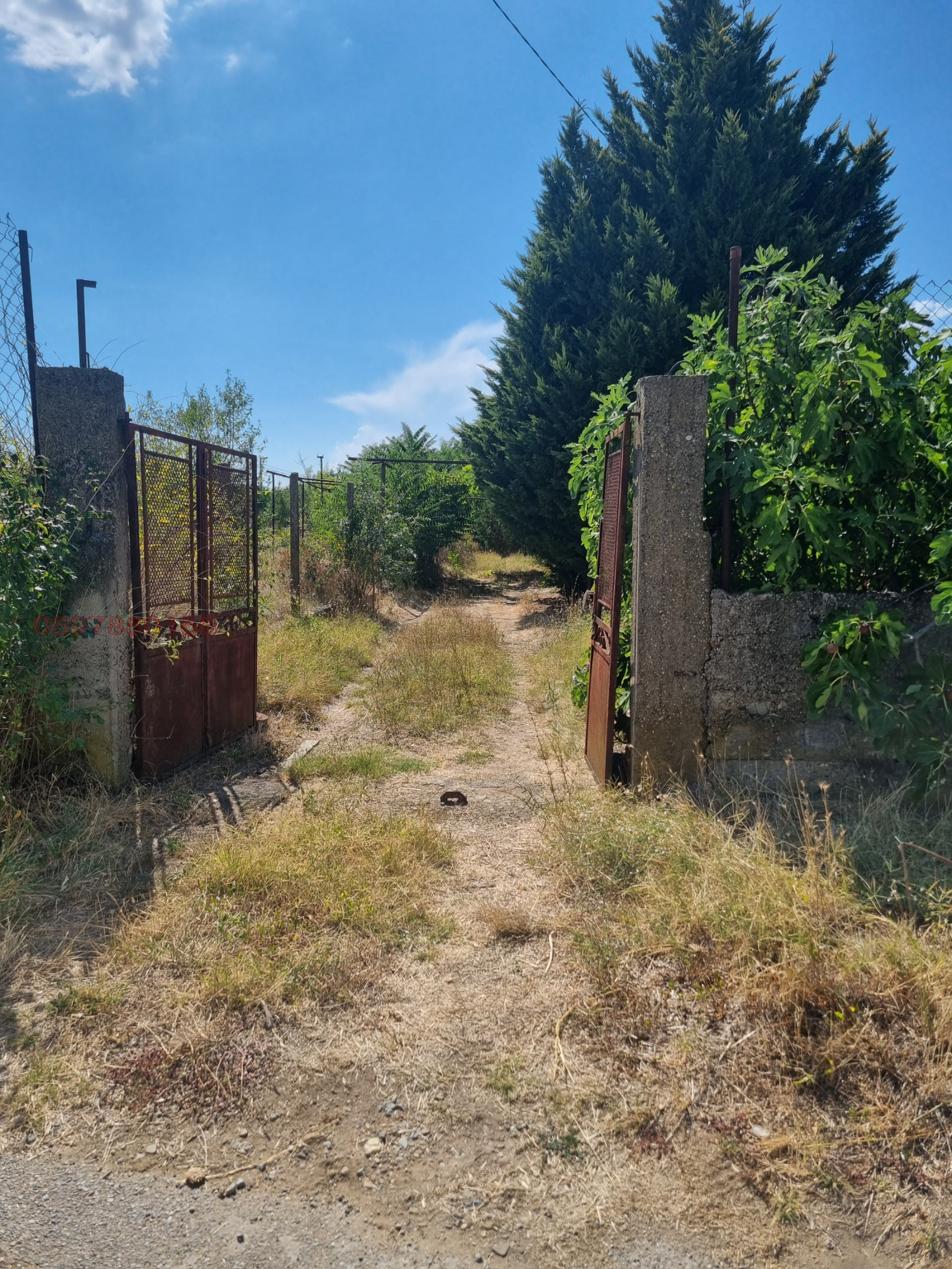 ������� ���� | Imot.bg � ����������� 1