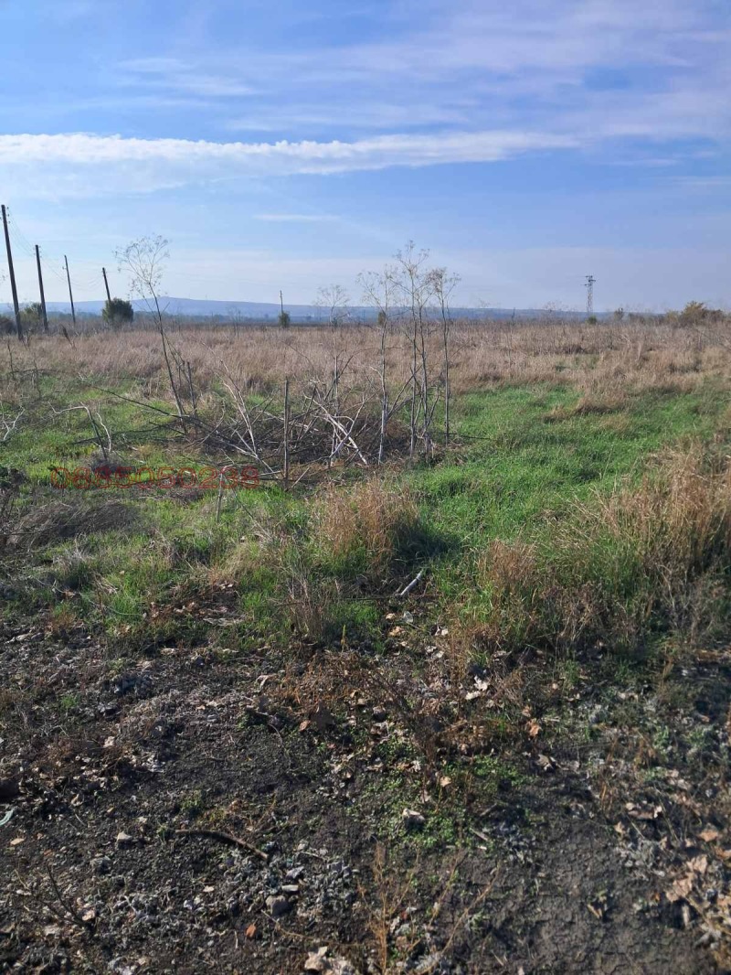 Продава ПАРЦЕЛ, с. Сигмен, област Бургас, снимка 4 - Парцели - 52781437
