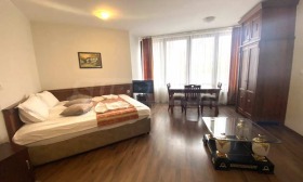 Studio Bansko, region Blagoevgrad 1