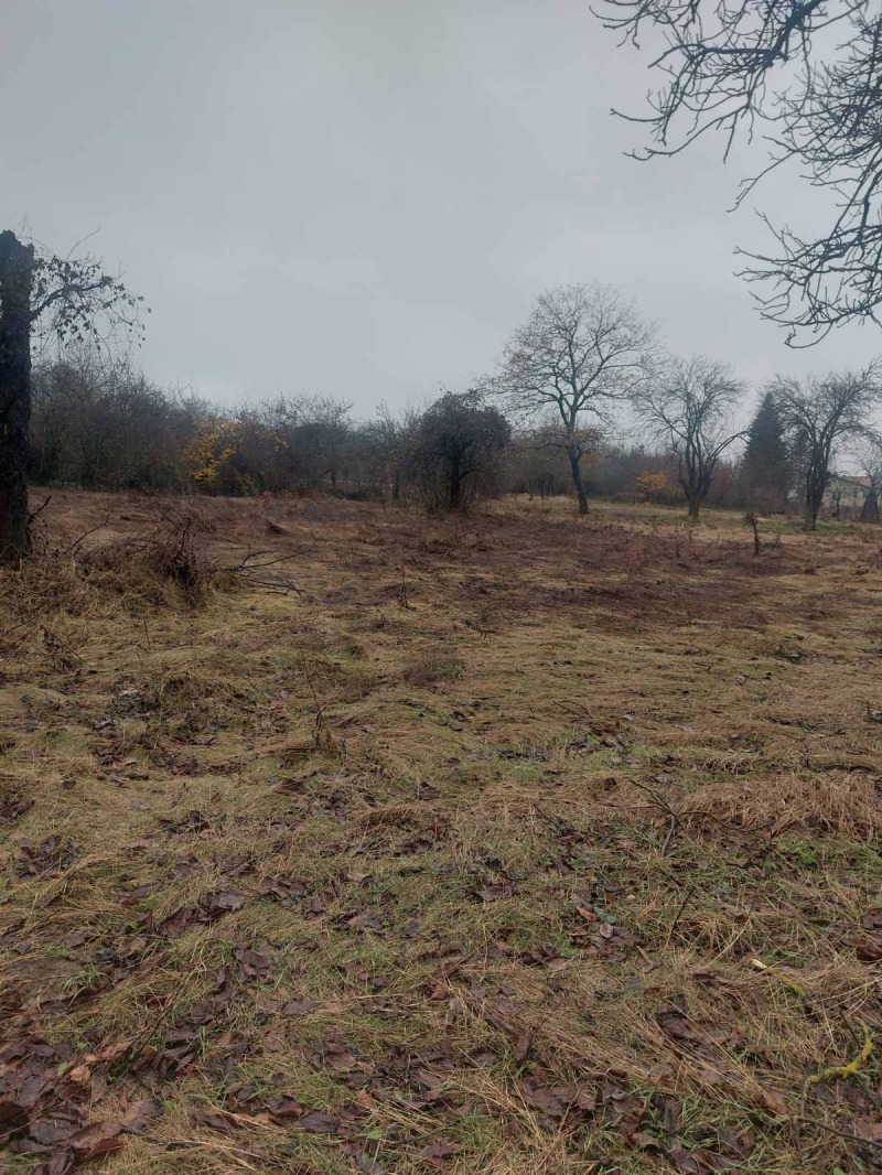 Продава ПАРЦЕЛ, с. Хърсово, област Шумен, снимка 4 - Парцели - 51517517