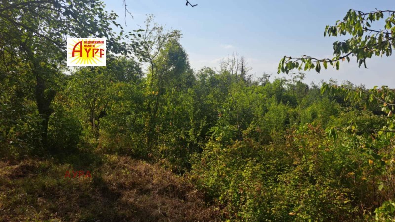 Продава  Вила град Враца , Студентски град , 41 кв.м | 29549738 - изображение [5]