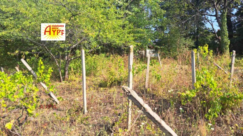 Продава  Вила град Враца , Студентски град , 41 кв.м | 29549738 - изображение [4]