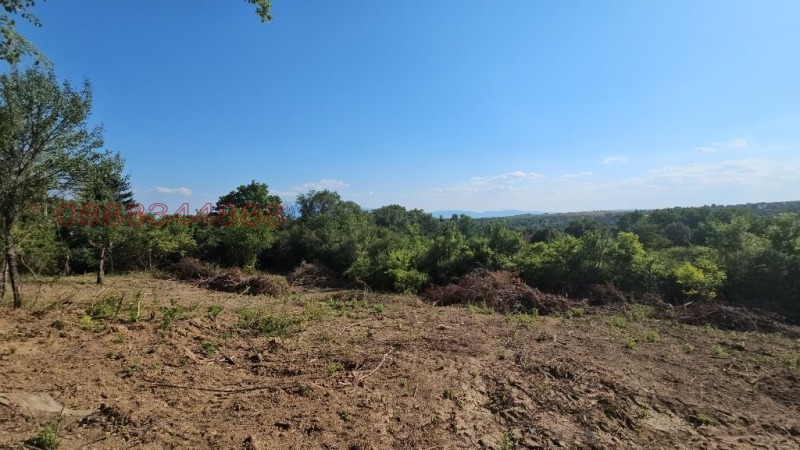 Eladó  Cselekmény Sofia , Katina , 4200 négyzetméter | 23774604 - kép [5]